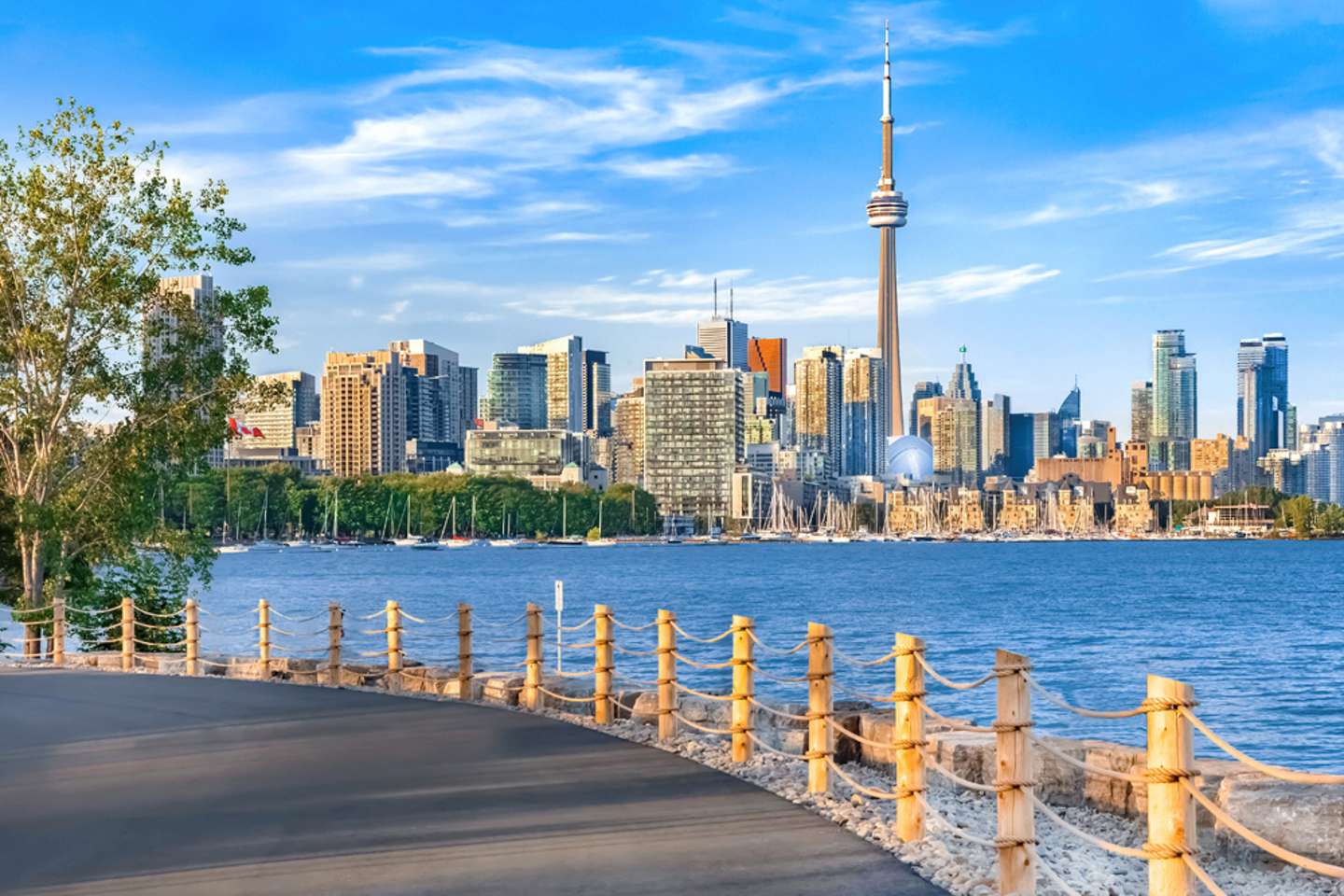 Custom Meat Processing Serving Toronto, Ontario - Local Service Guide
