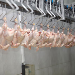 Package 08 - Premium Goat Meat & 4 Whole Chicken Box – Naturally Raised Local Farm-to-Freezer Pack $300