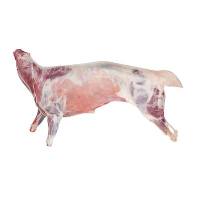 Whole Lamb