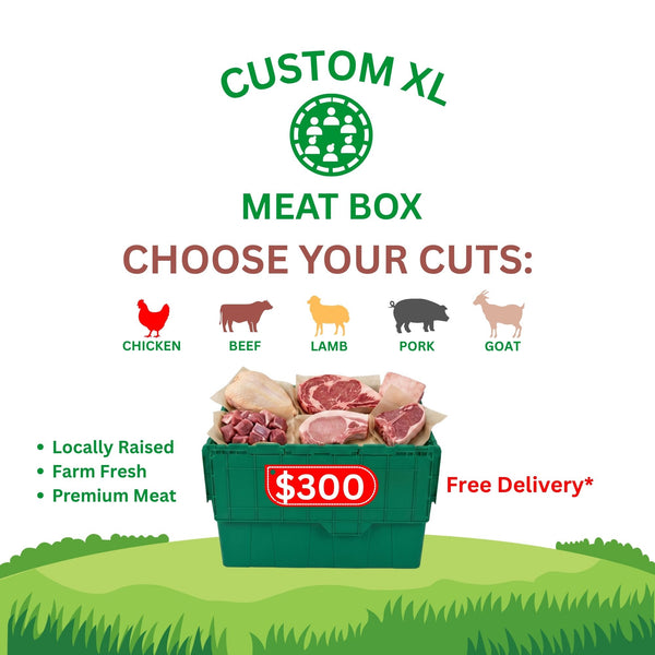 CUSTOM XL MEAT BOX